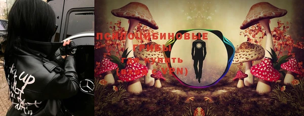 mdma Дмитровск