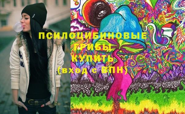 герыч Дмитров