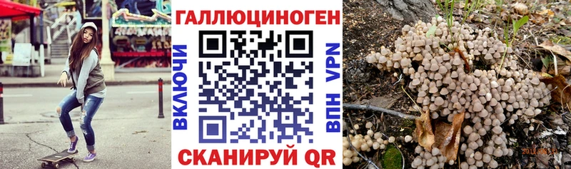 Купить закладки  Байкальск  Псилоцибиновые грибы MAGIC MUSHROOMS 